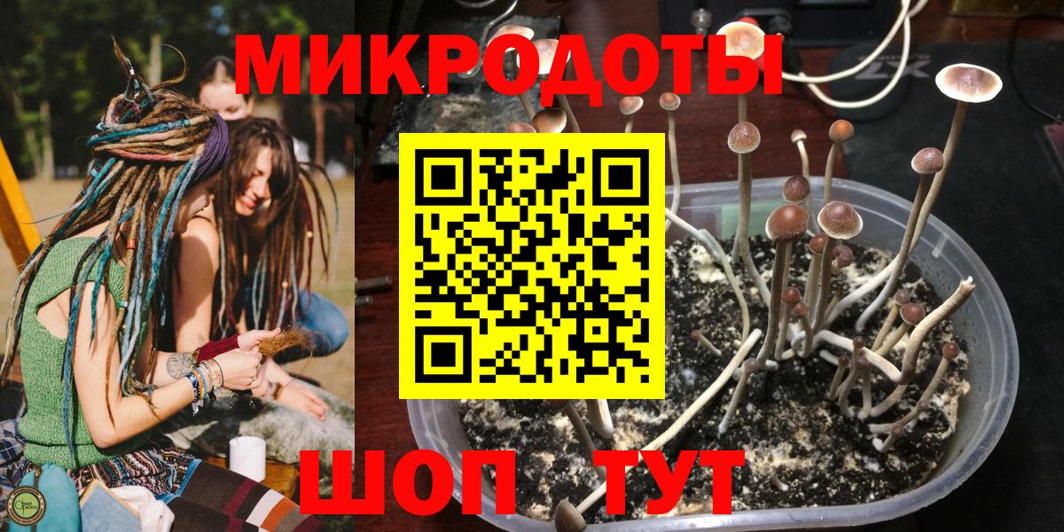 Орехово-Зуево  Галлюциногенные грибы GOLDEN TEACHER  Галлюциногенные грибы Psilocybe  Вход с VPN 