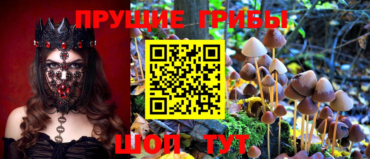Галлюциногенные грибы Cubensis Орехово-Зуево